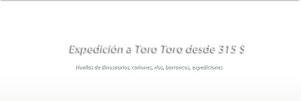 Expedición a Toro Toro desde 315$